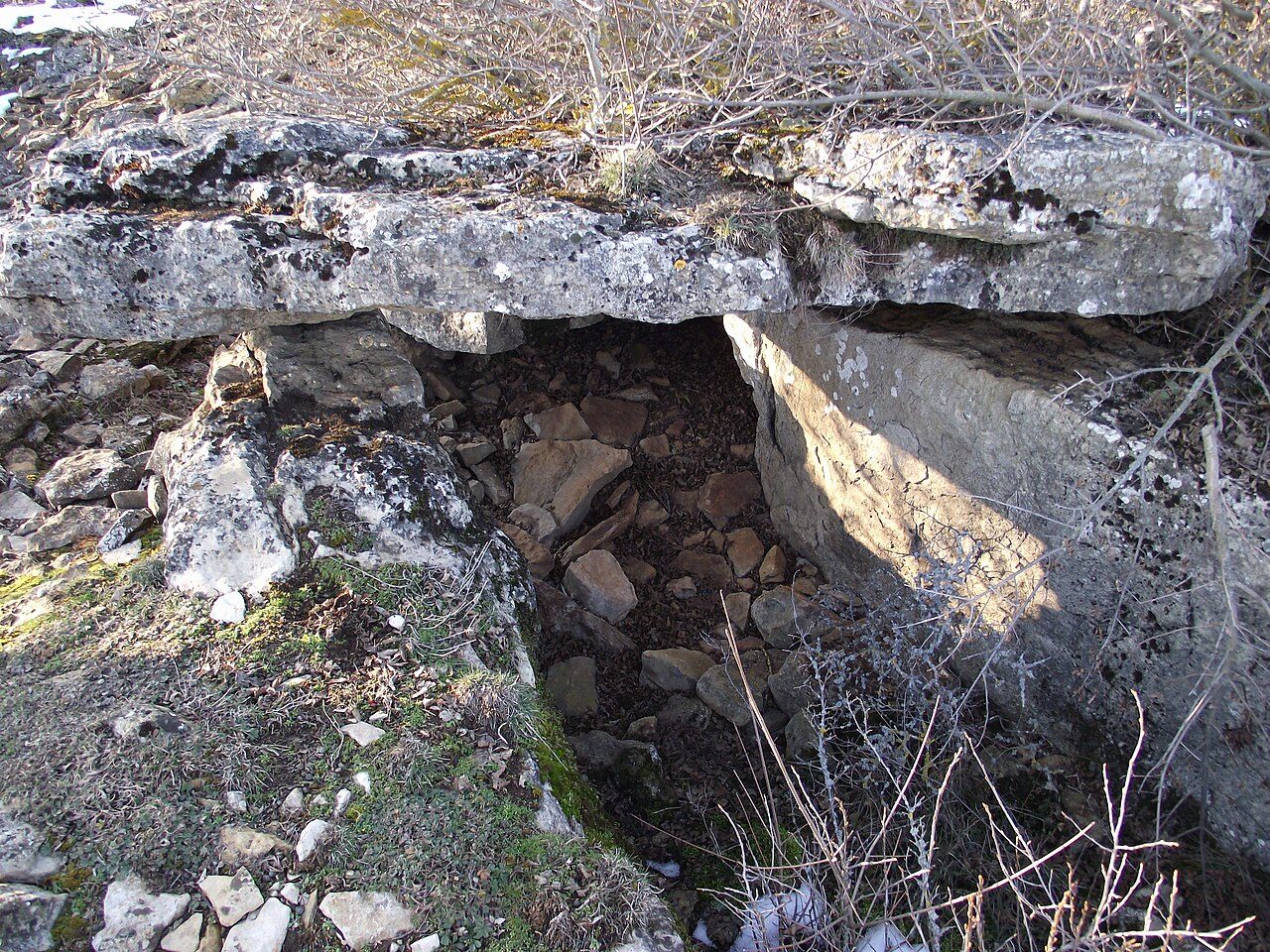 LE PLATEAU DU POUJOULET à Marvejols