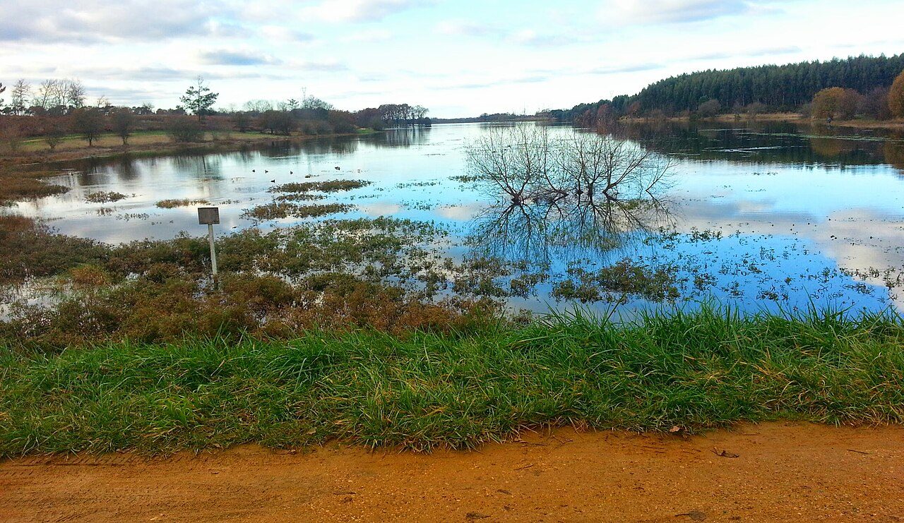 Lac d'Agès à Hagetmau