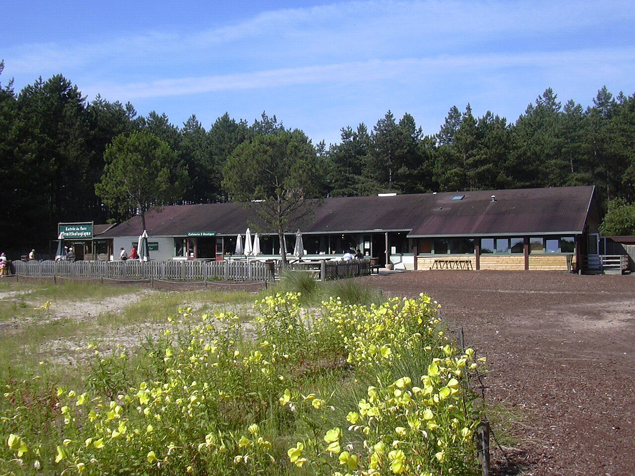 Parc du Marquenterre à Saint-Quentin-en-Tourmont
