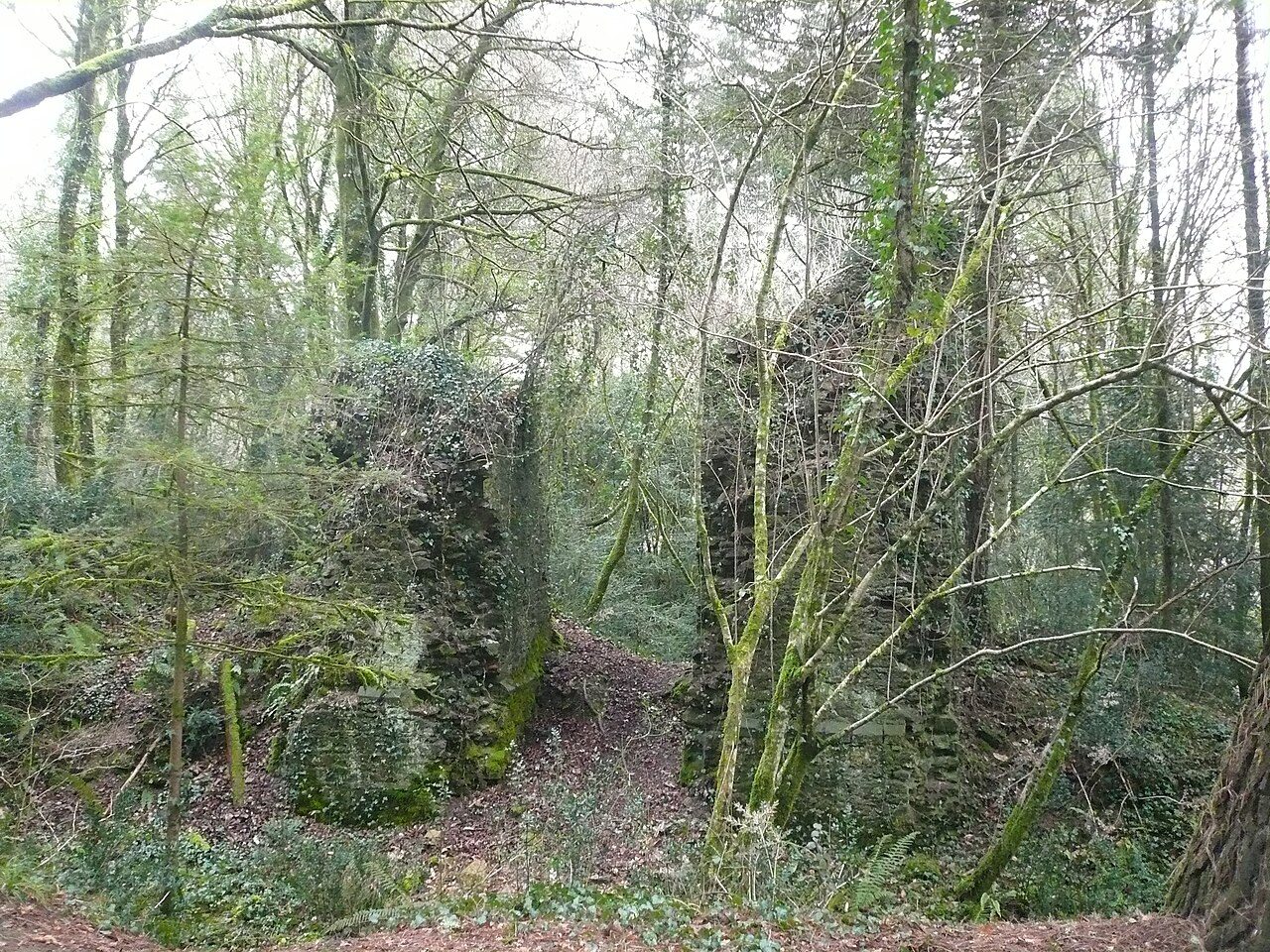 Forêt domaniale de Carnoët à Quimperlé