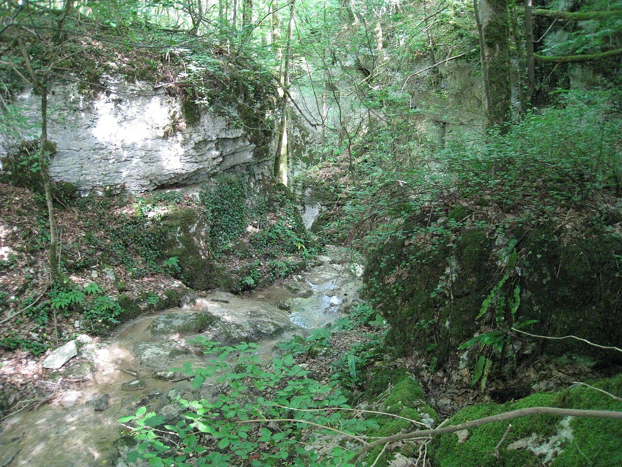 Gorges de la Vingeanne à Aprey