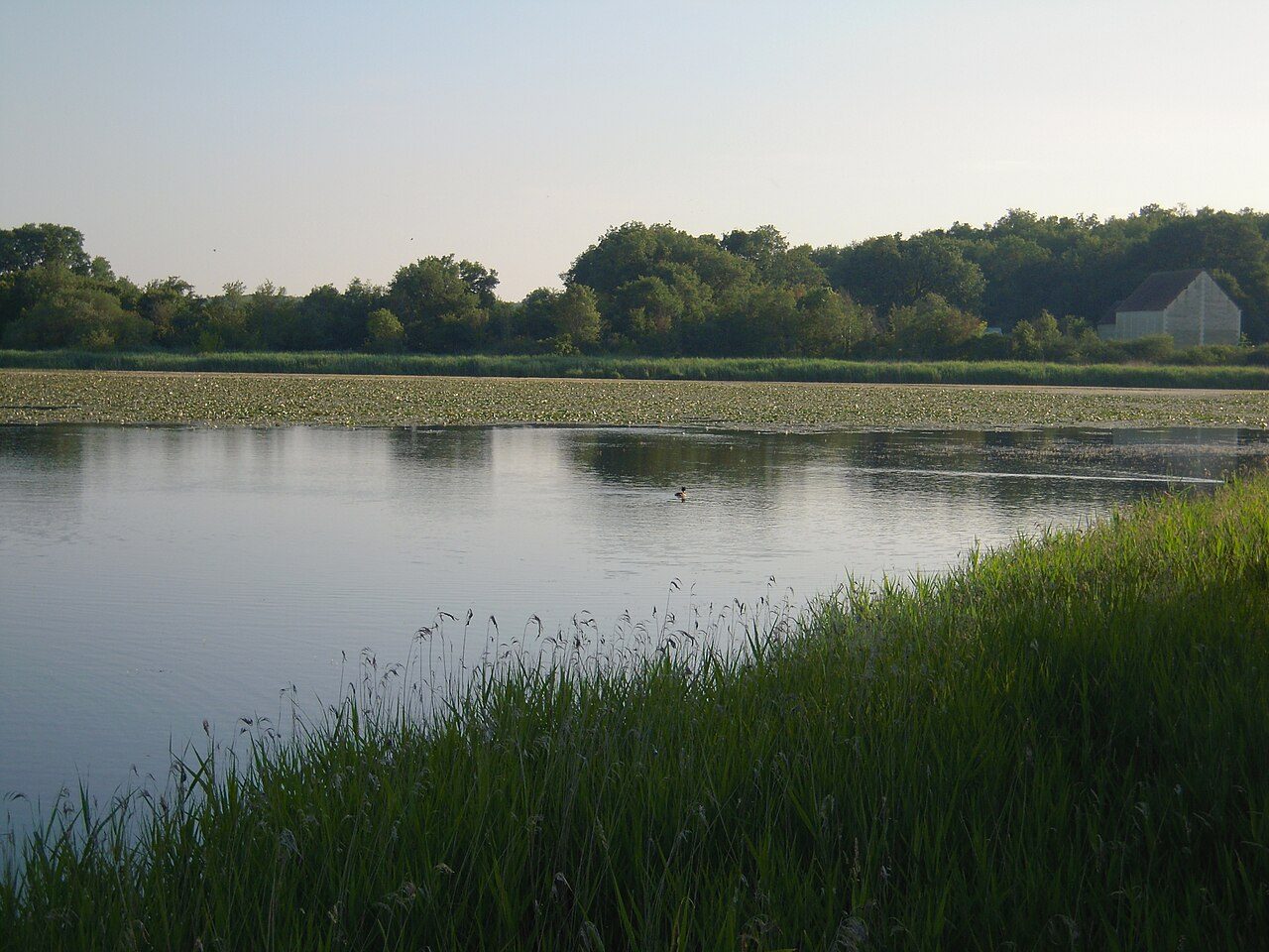 Maison du Parc naturel régional de la Brenne à Rosnay