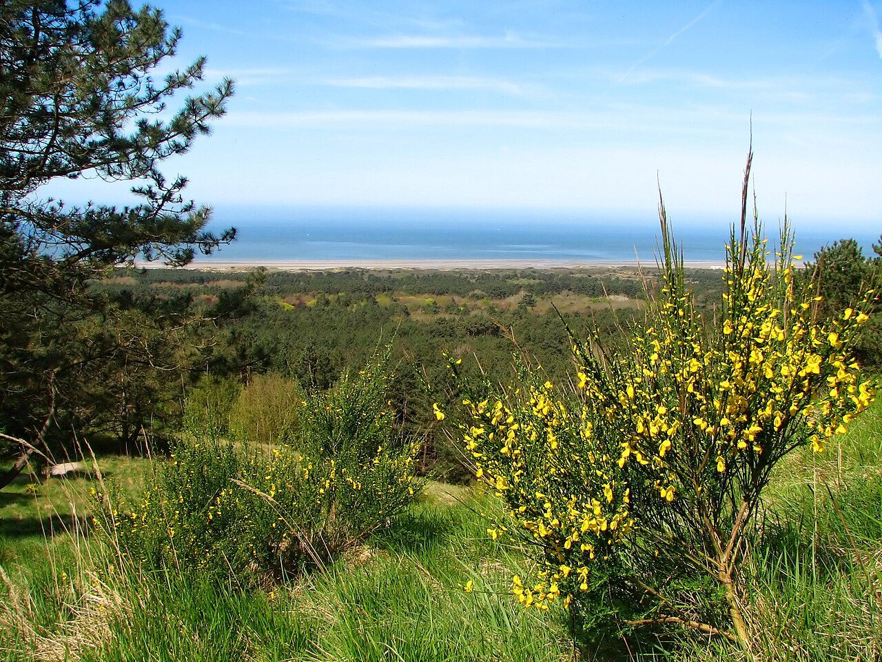 MONT SAINT FRIEUX