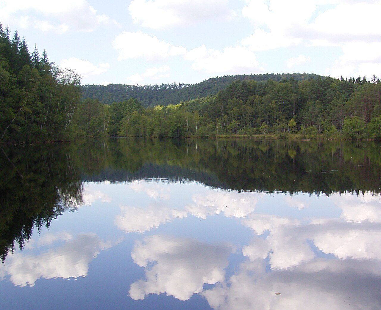Étang de l'Erbsenthal - Réserve naturelle