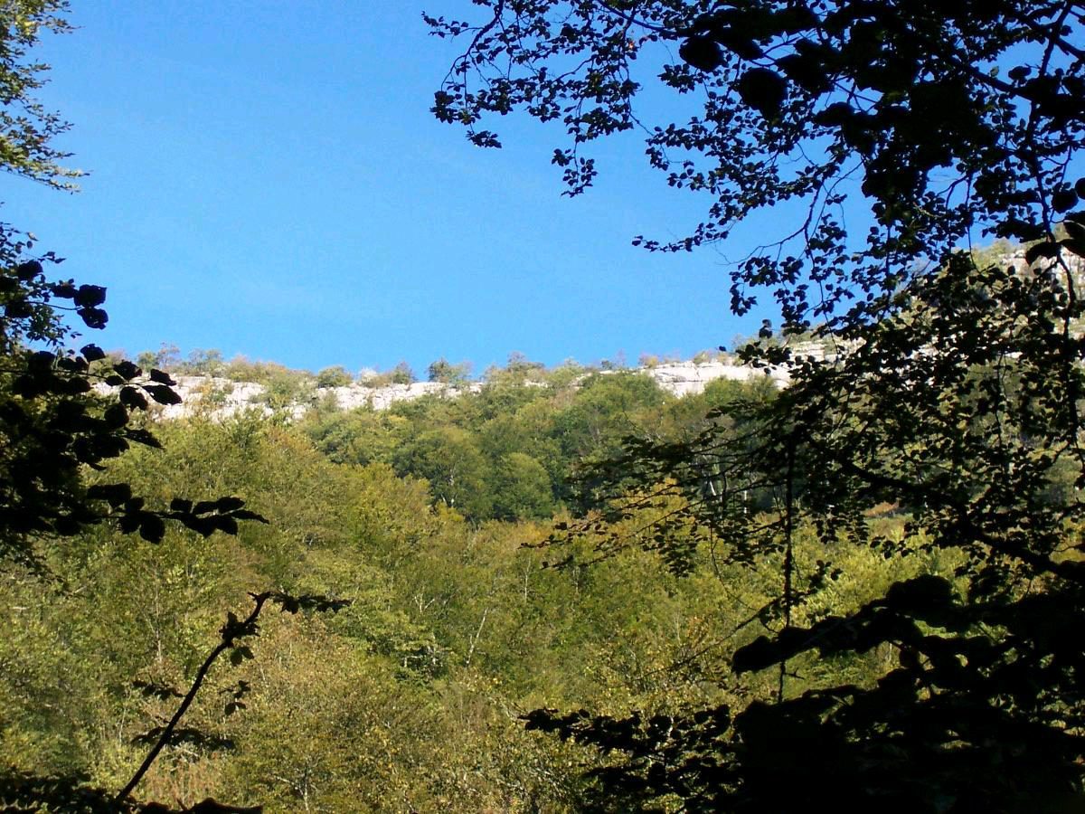 Forêt des Arbailles à Aussurucq