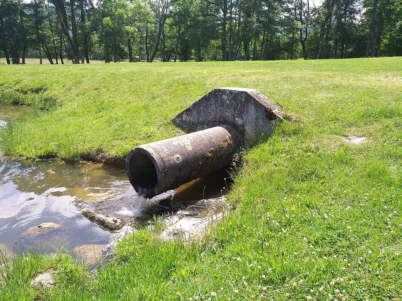 Plan d'eau de Noirétable à Noirétable