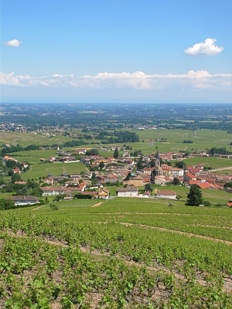 Bibliothèque municipale de Fleurie à Fleurie