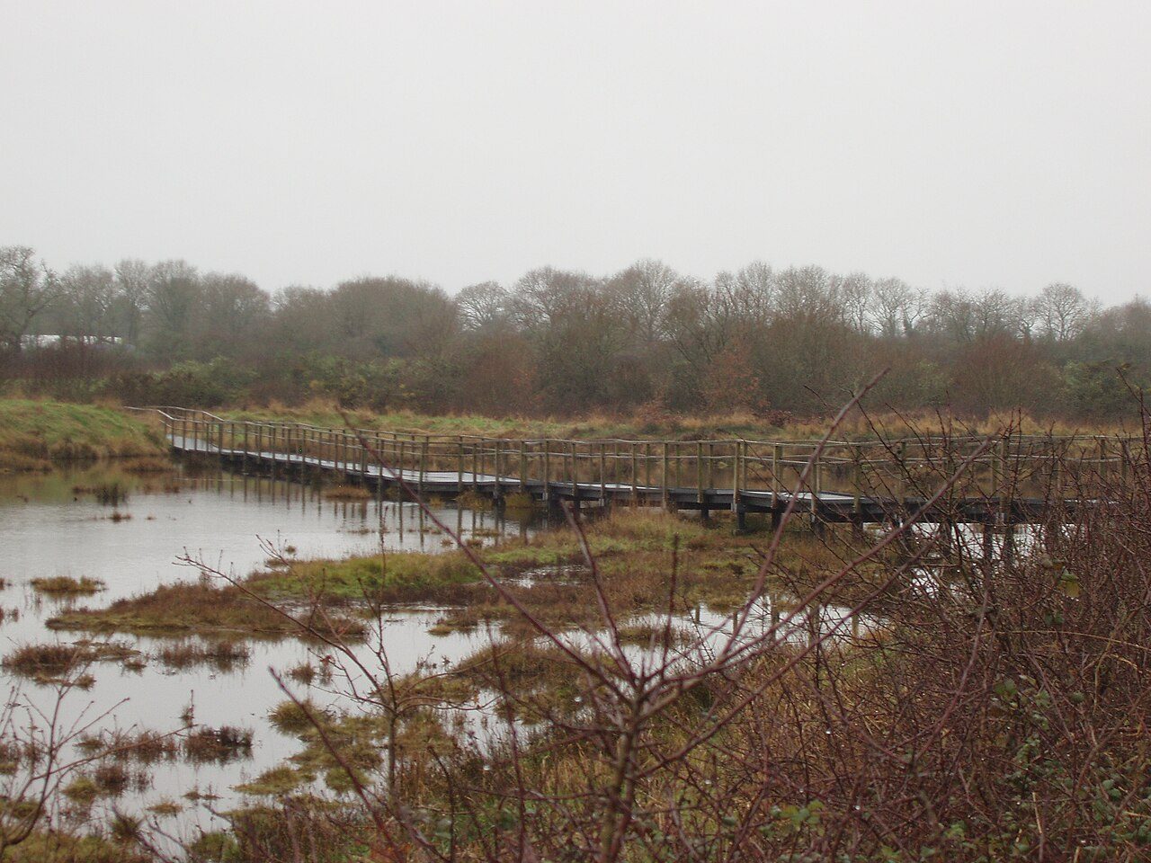 Réserve Naturelle des Marais de Séné à Séné