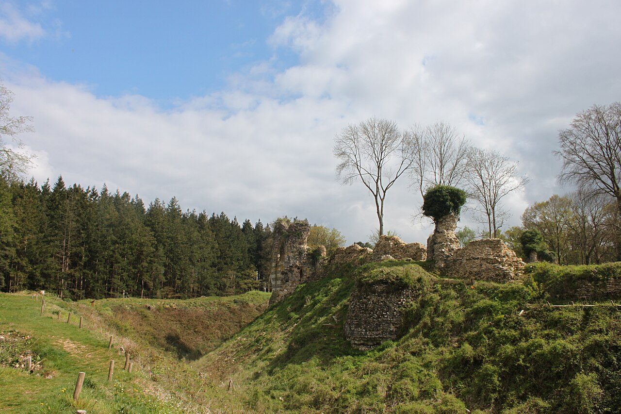 Forêt domaniale de Montfort à Montfort-sur-Risle