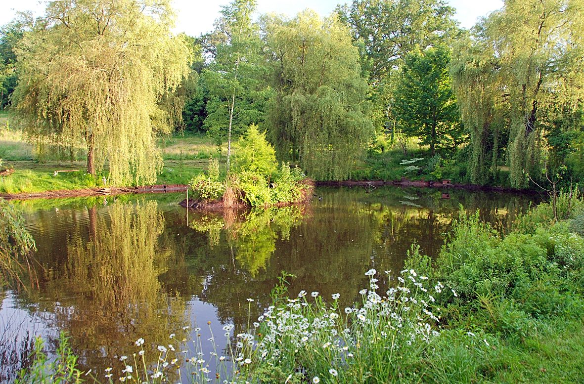 Arboretum de La Tuillière à Ayen