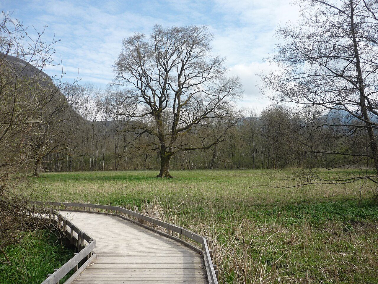 Sentier pédagogique de la Réserve naturelle du Bout du Lac à Doussard