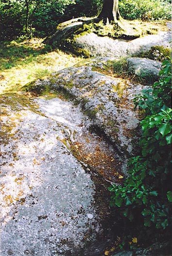 Chaire des Druides à Maël-Pestivien