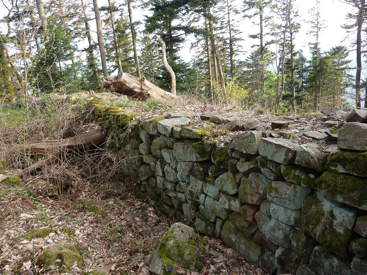 Ruines du Château du Petit-Ringelstein