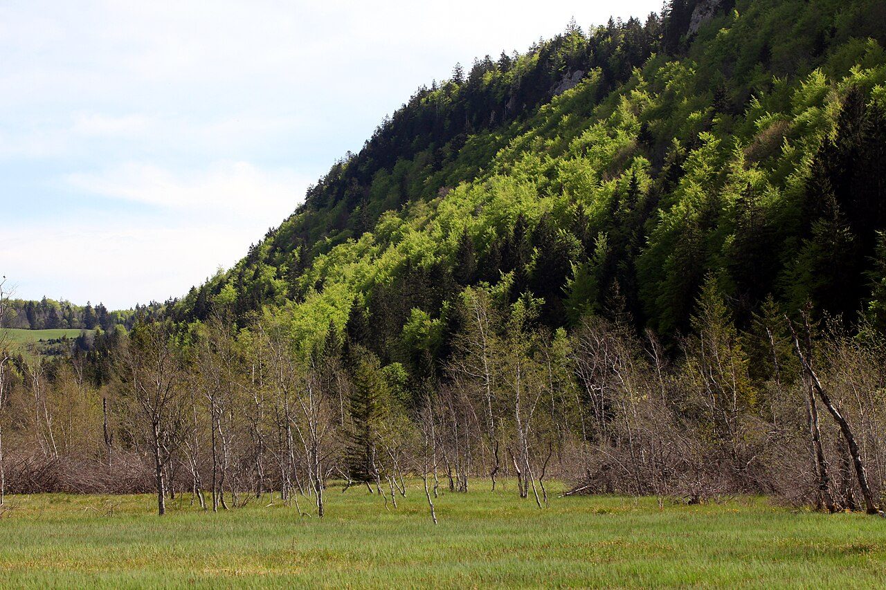 Tourbière de l'Entre Côtes du Milieu