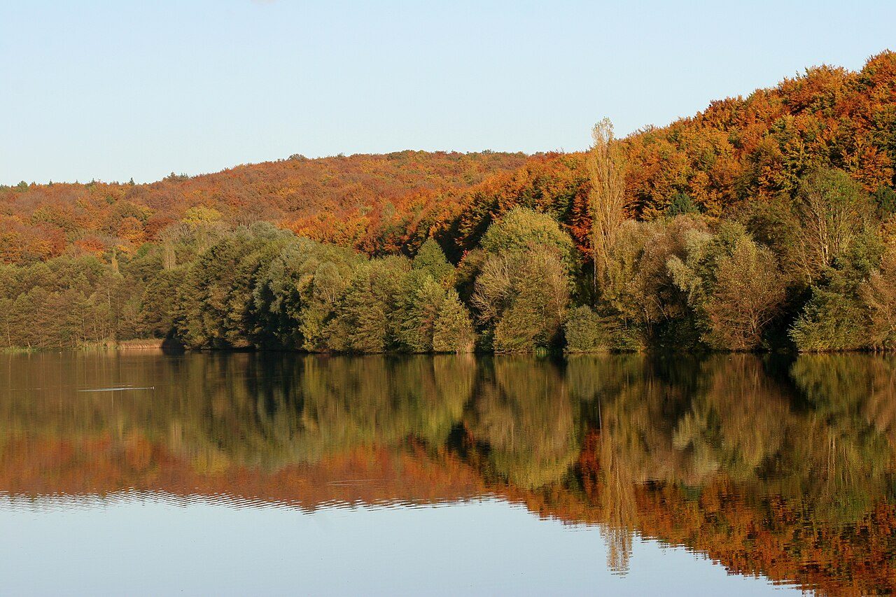 Plan d'eau - Réserve naturelle