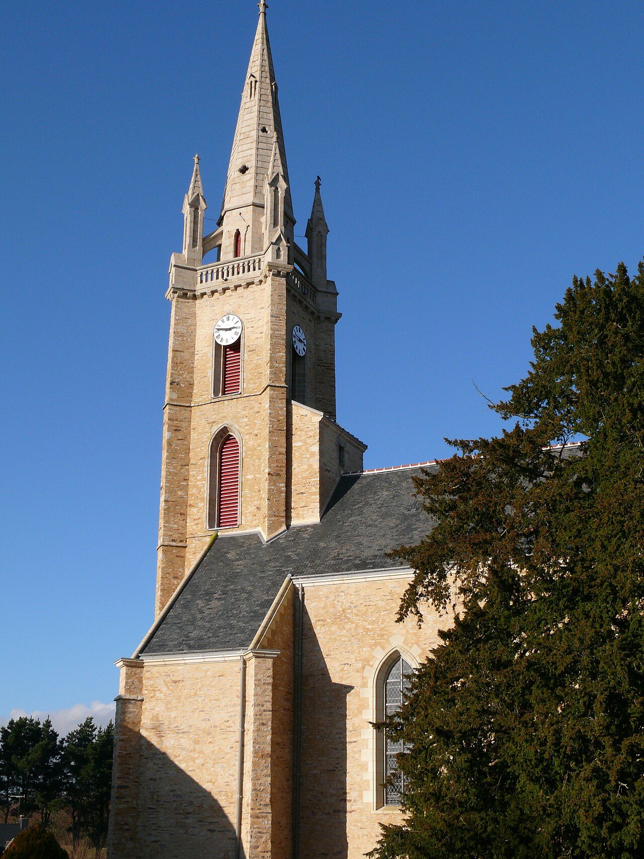 L'if de La Chapelle-Caro à Val d'Oust