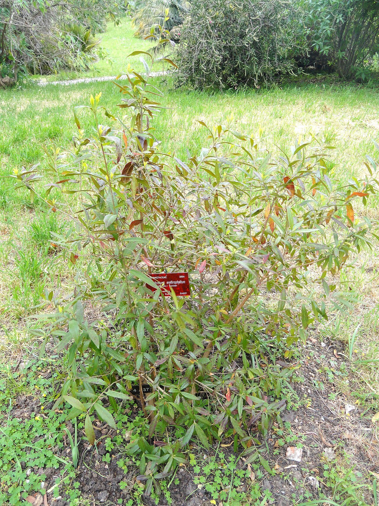 Jardin botanique Villa Thuret