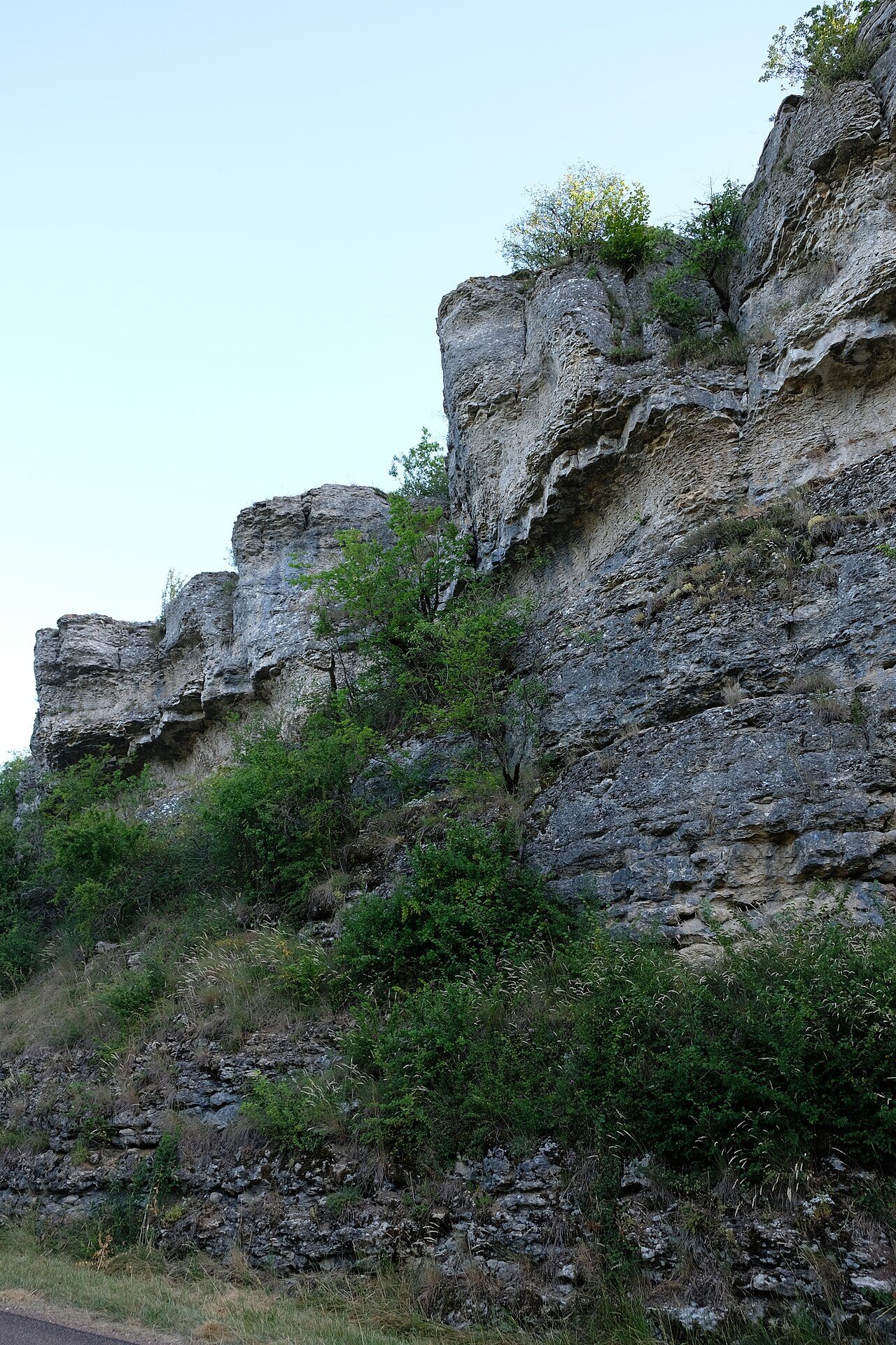 La pelouse calcaire de Circourt-sur-Mouzon