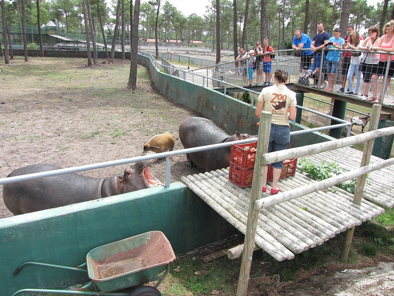 Zoo du Bassin d'Arcachon à La Teste-de-Buch