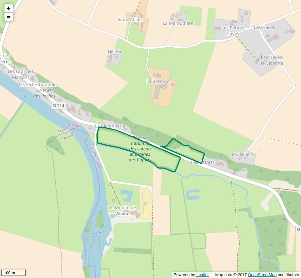 Coteau et prairies des Caforts à Luché-Pringé