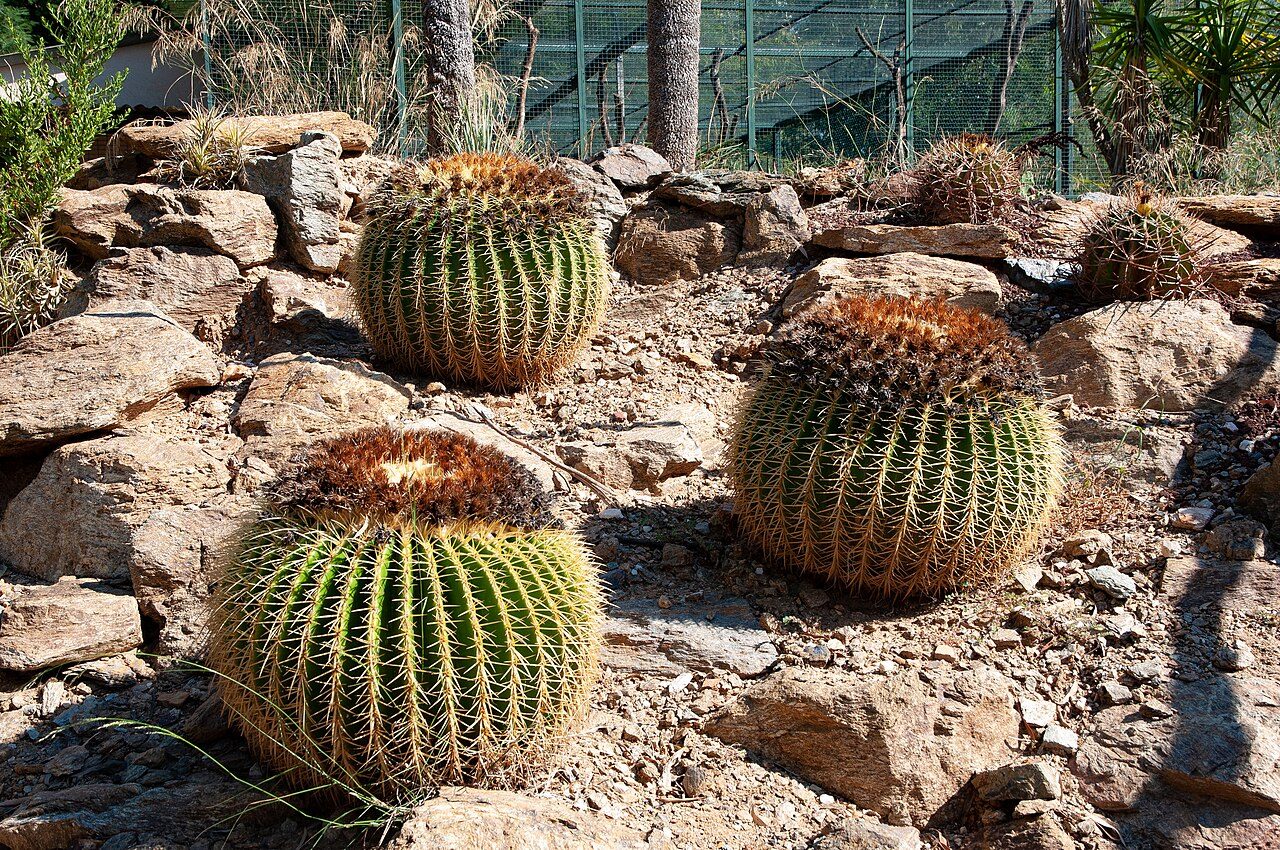 Jardin Zoologique Tropical