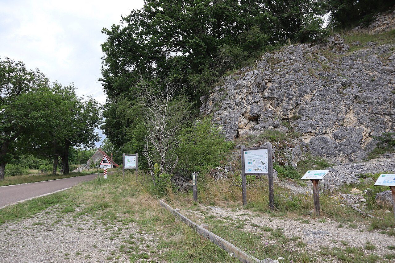Réserve Naturelle du Bois du Parc à Mailly-le-Château