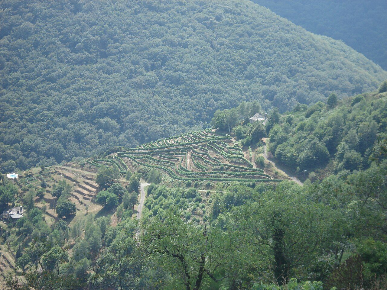 Réserve naturelle régionale des coteaux du Fel à Le Fel