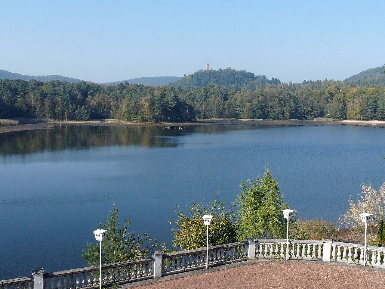 Tourbière de l'étang de Hanau
