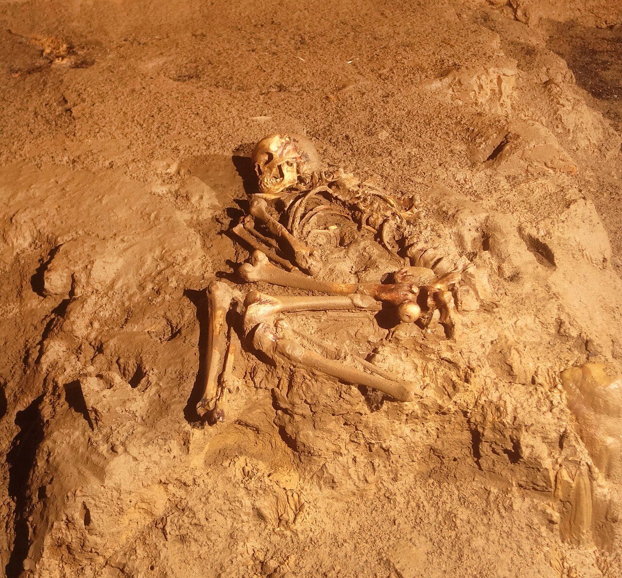 Grotte préhistorique de Foissac à Foissac