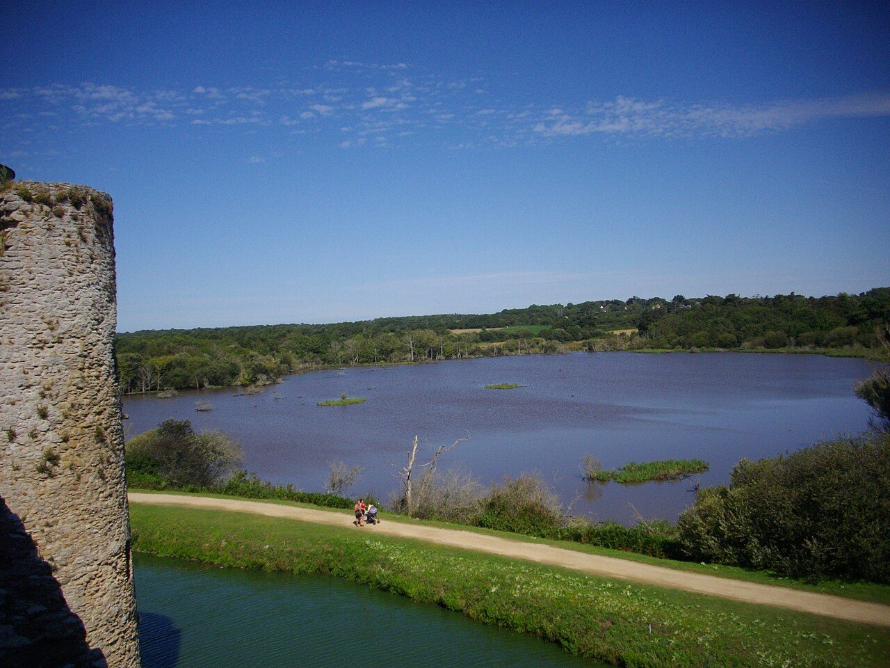 Marais et dunes de Suscinio à Sarzeau