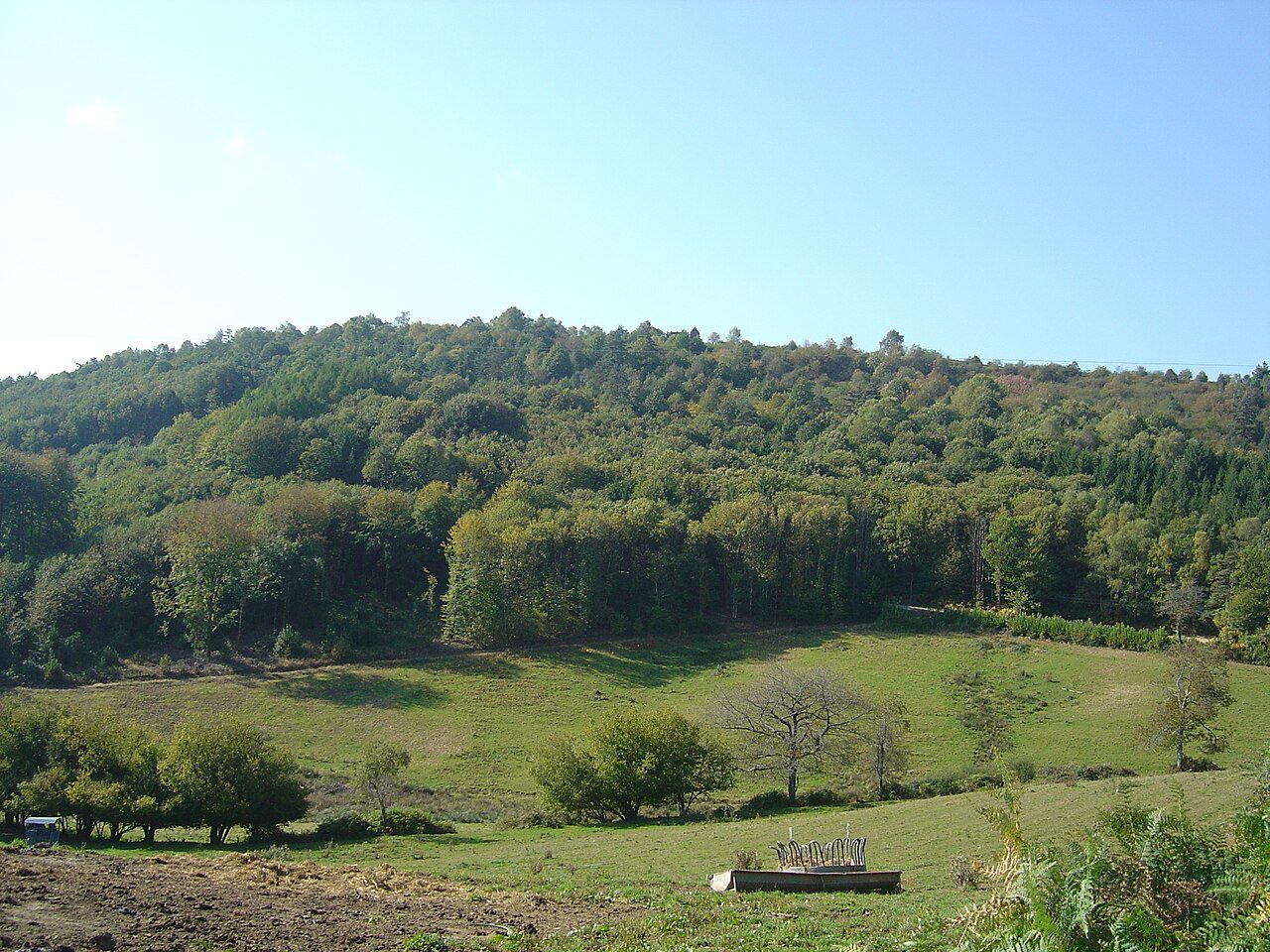 Mont Gargan à Saint-Gilles-les-Forêts