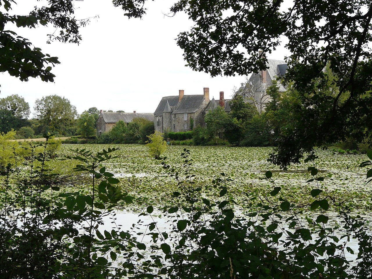 CHÂTEAU DE LA MOTTE GLAIN à La Chapelle-Glain