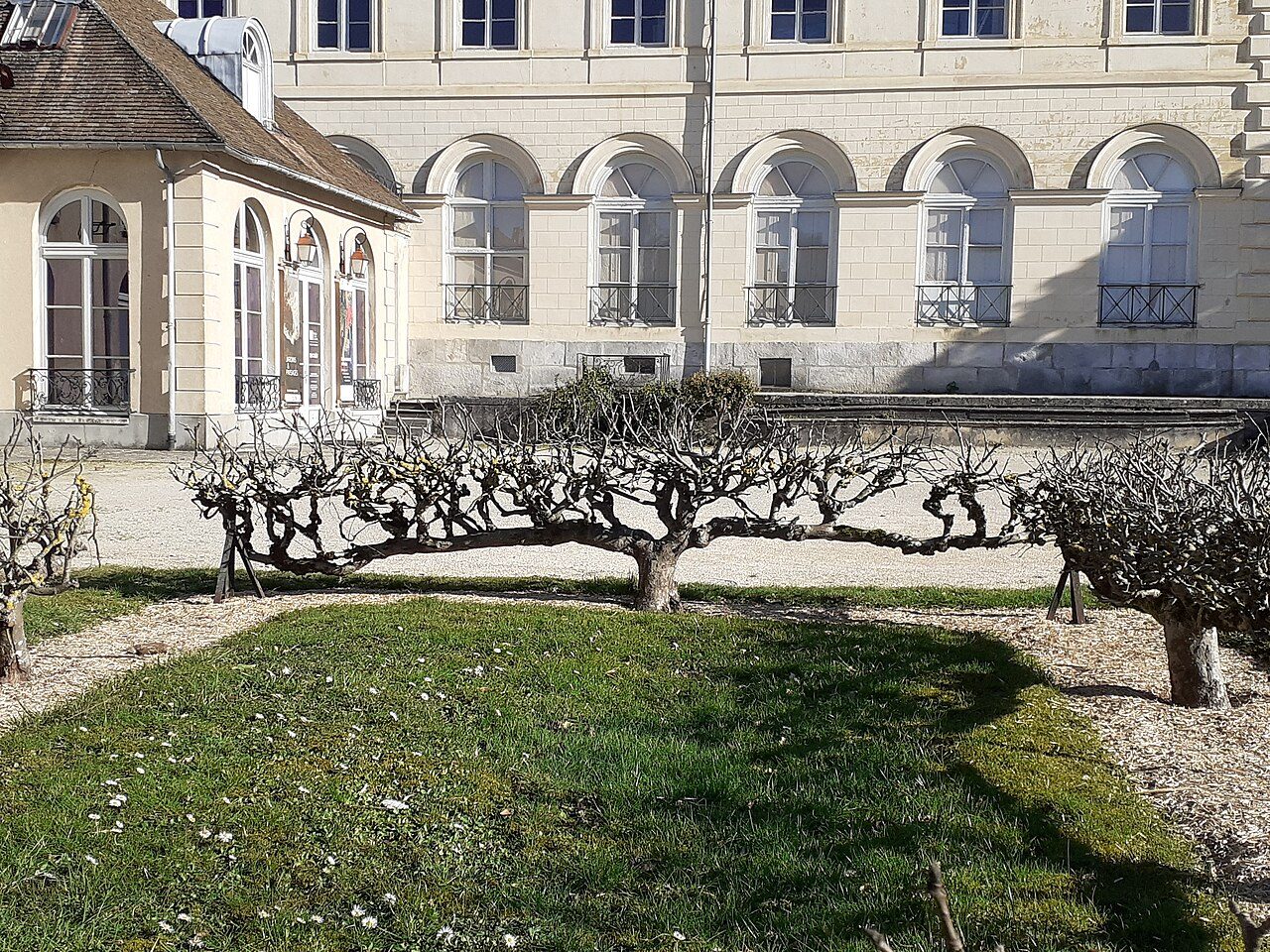 Jardin du Palais du roi de Rome
