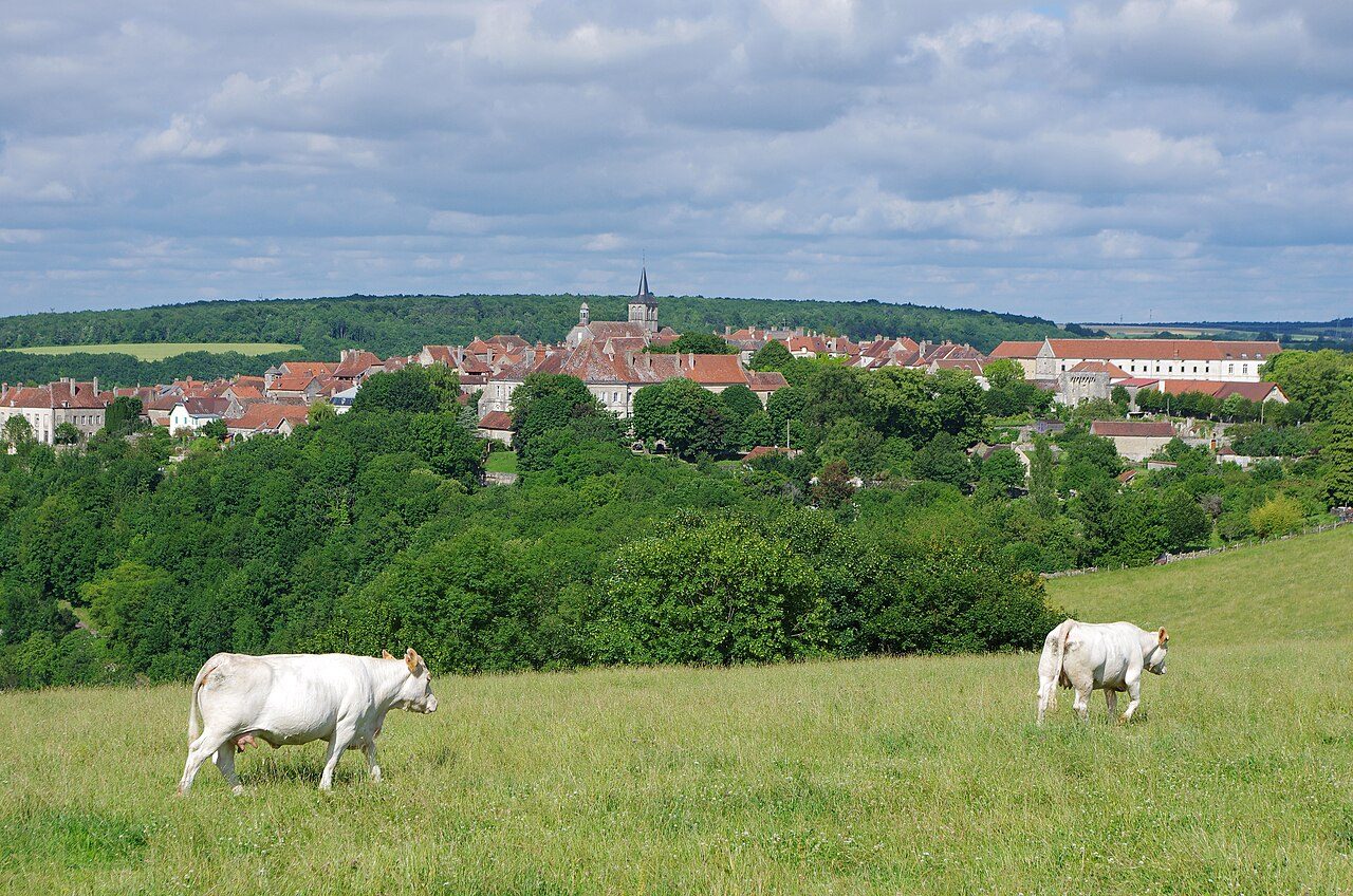 Fabrique des Anis de Flavigny à Flavigny-sur-Ozerain