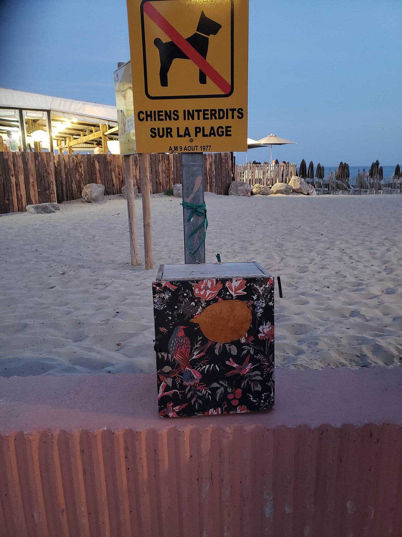 PLAGE DES COQUILLES à Palavas-les-Flots
