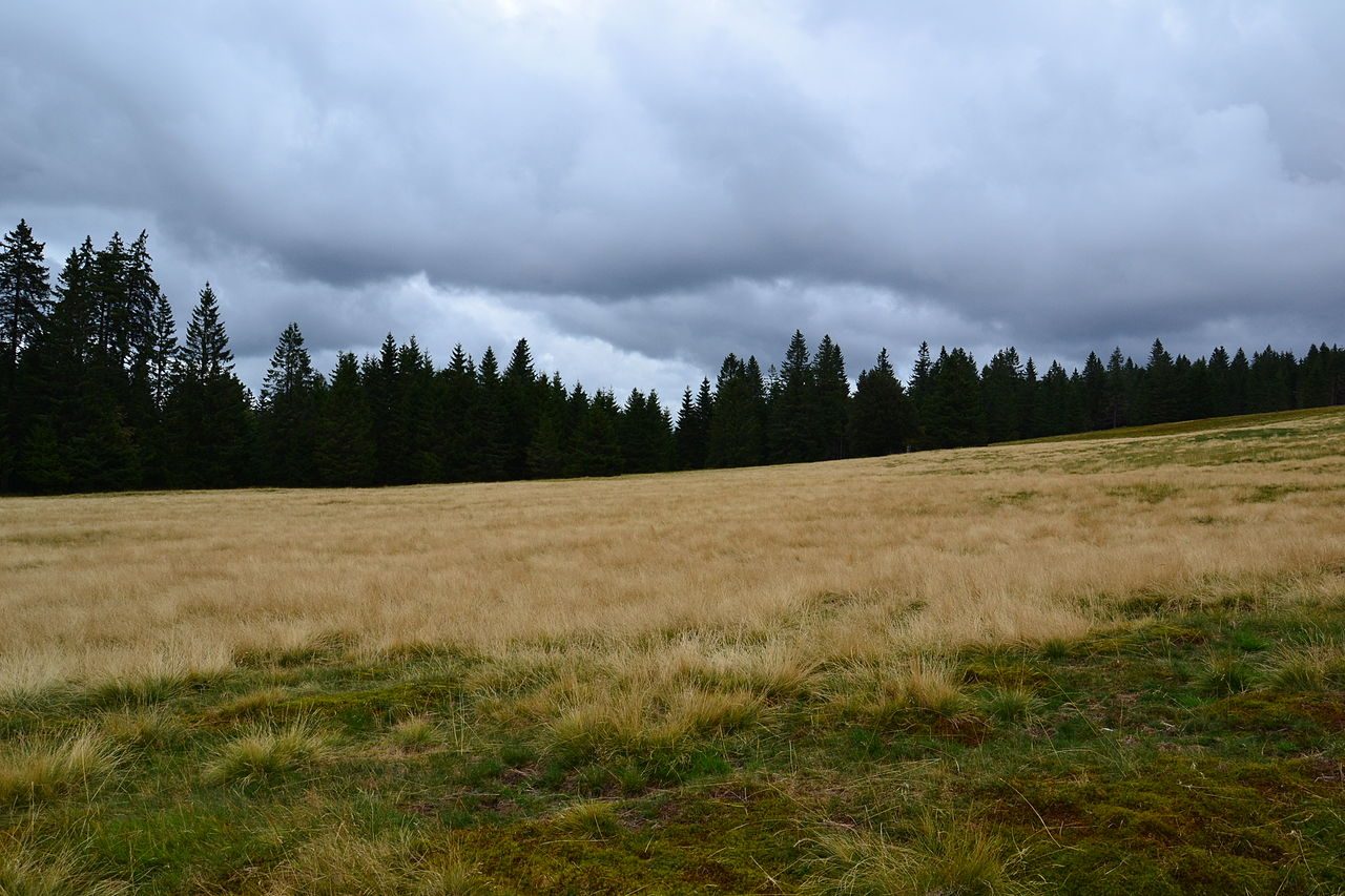 Chaume de Sérichamp à Plainfaing