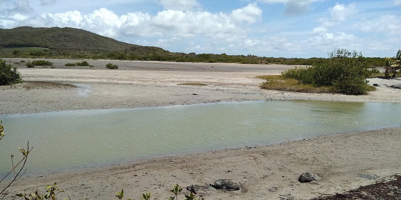 ETANG DES SALINES à Sainte-Anne
