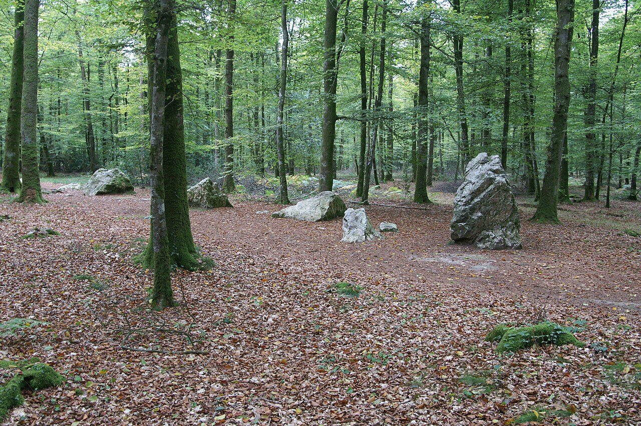 La Forêt Domaniale de Fougères à Landéan