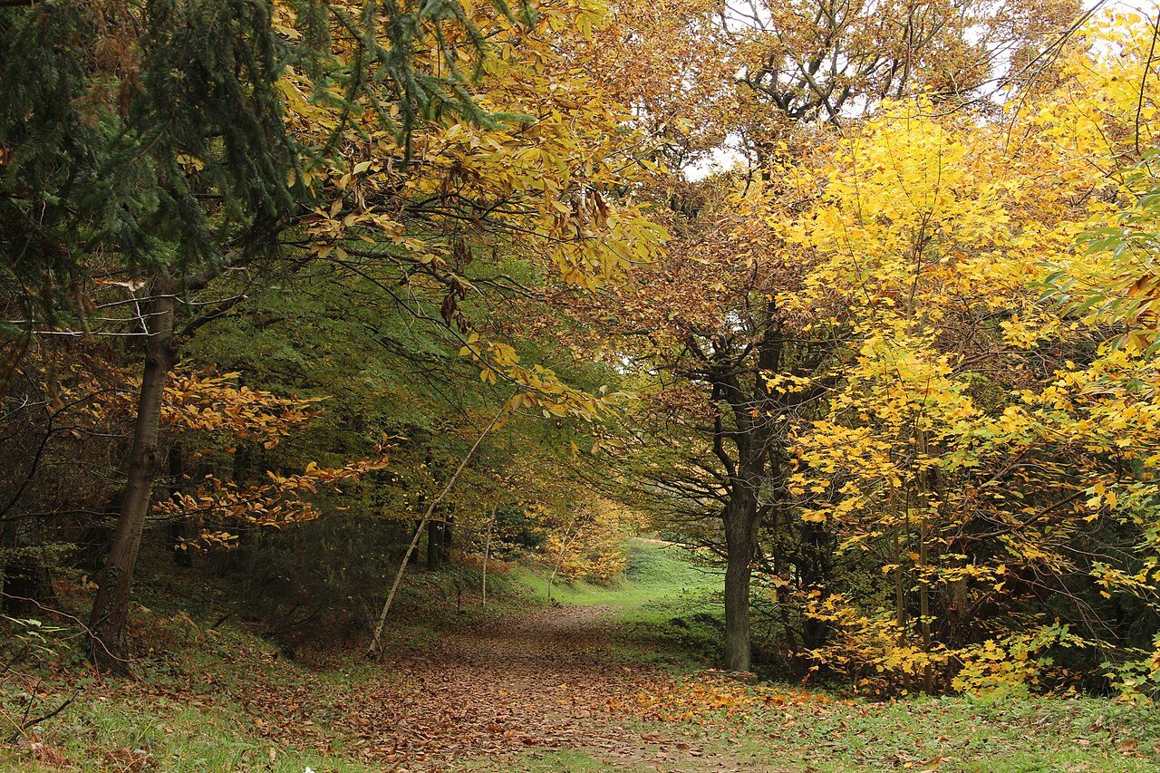 Arboretum à Châtel-en-Trièves