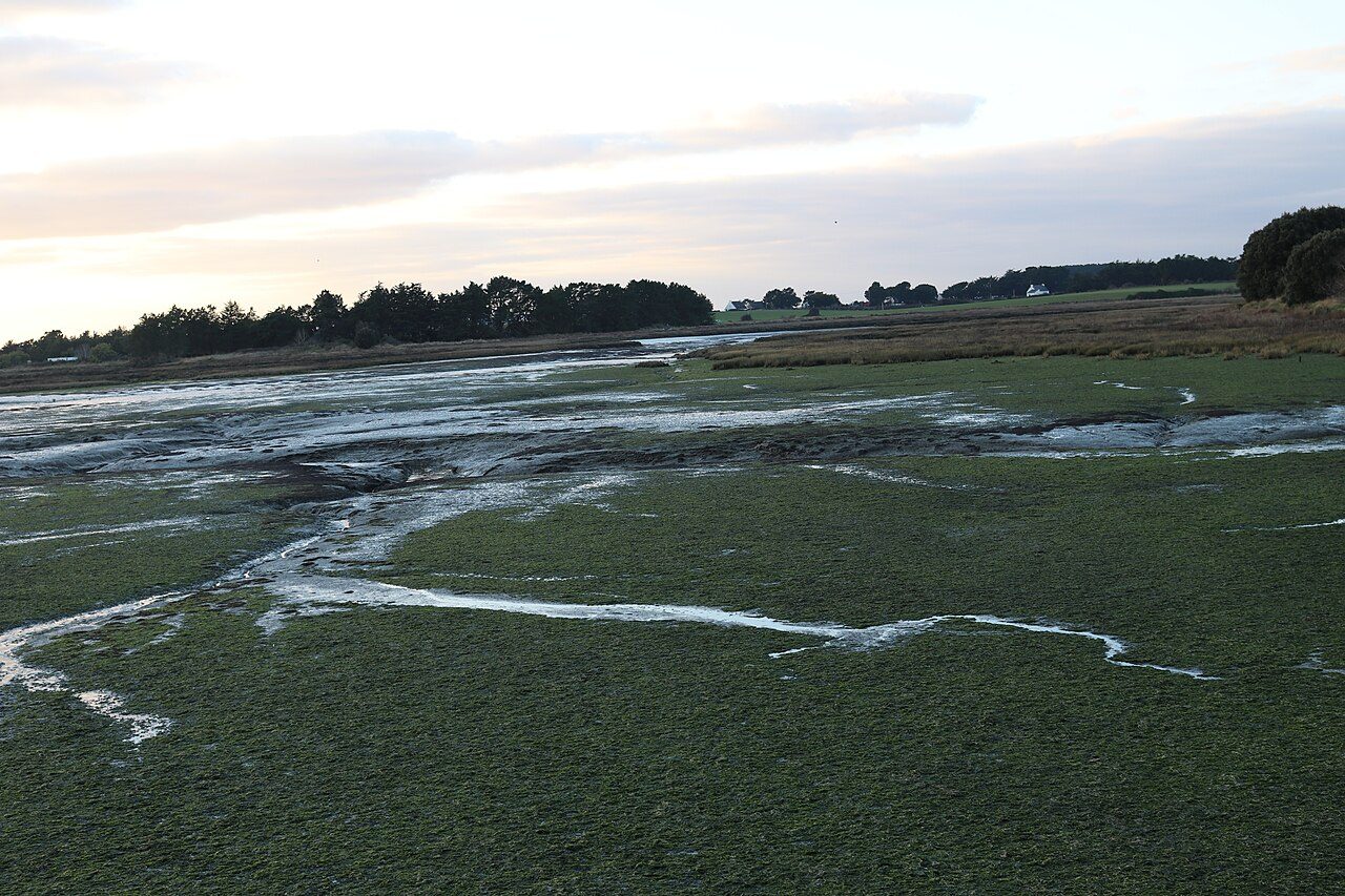 Marais du Hézo à Le Hézo