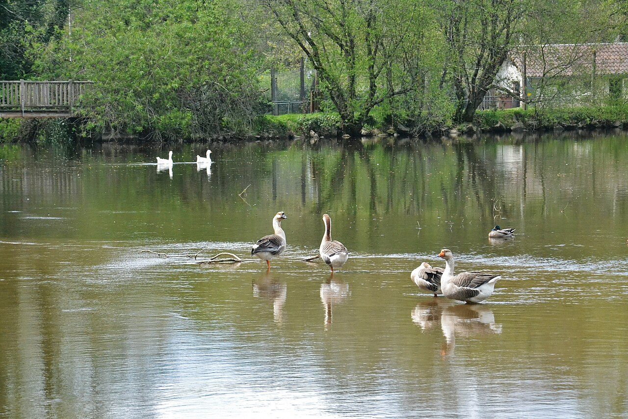 Parc de l'Aurence