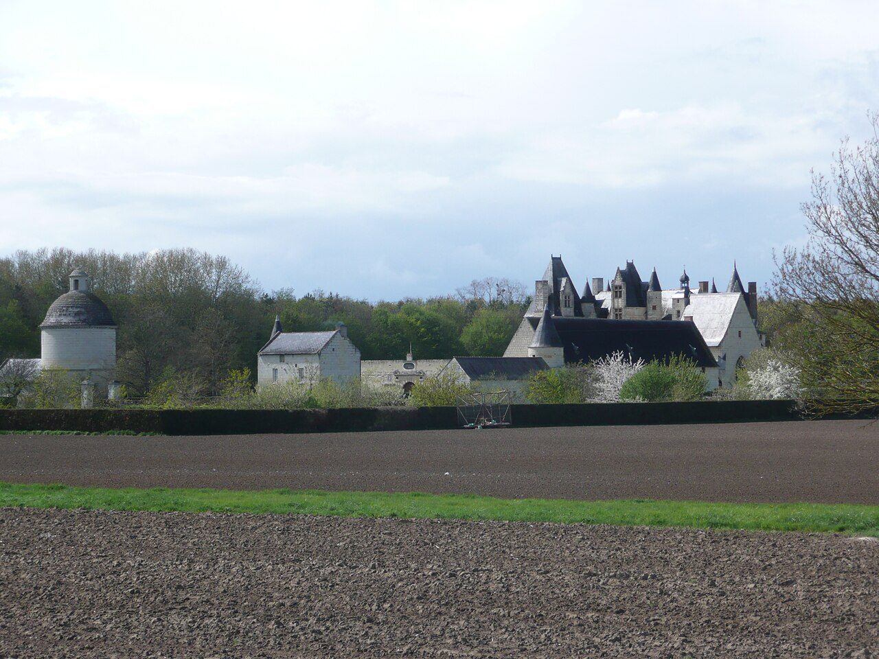 Château de Boumois à Gennes-Val-de-Loire