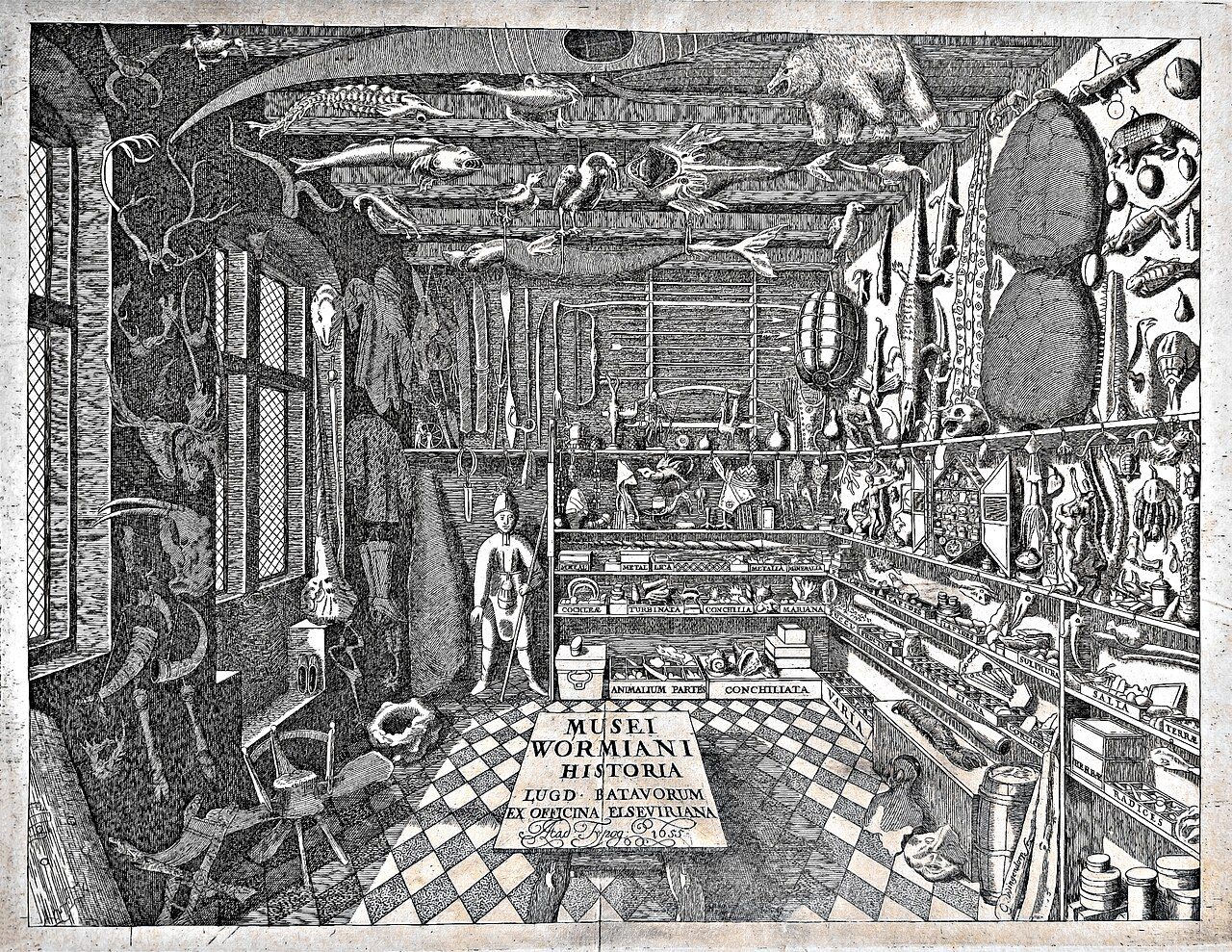 Le Cabinet des curiosités