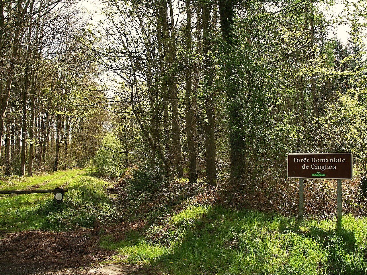 Forêt domaniale de Cinglais