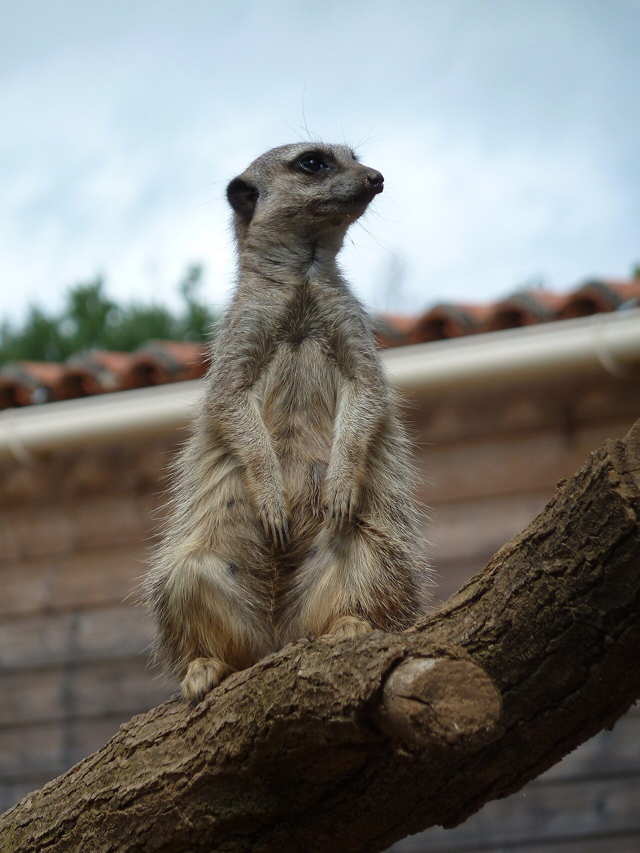 Natur'Zoo de Mervent