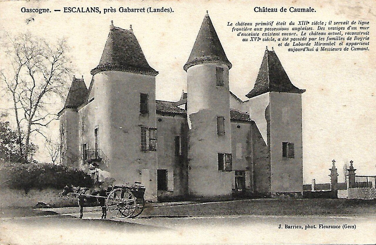 Château de Caumale à Escalans
