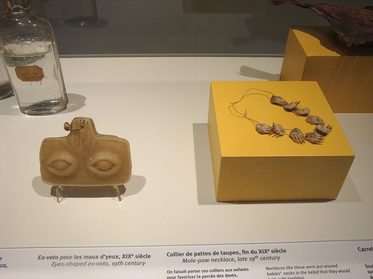 Les Pêcheries, Musée de Fécamp à Fécamp
