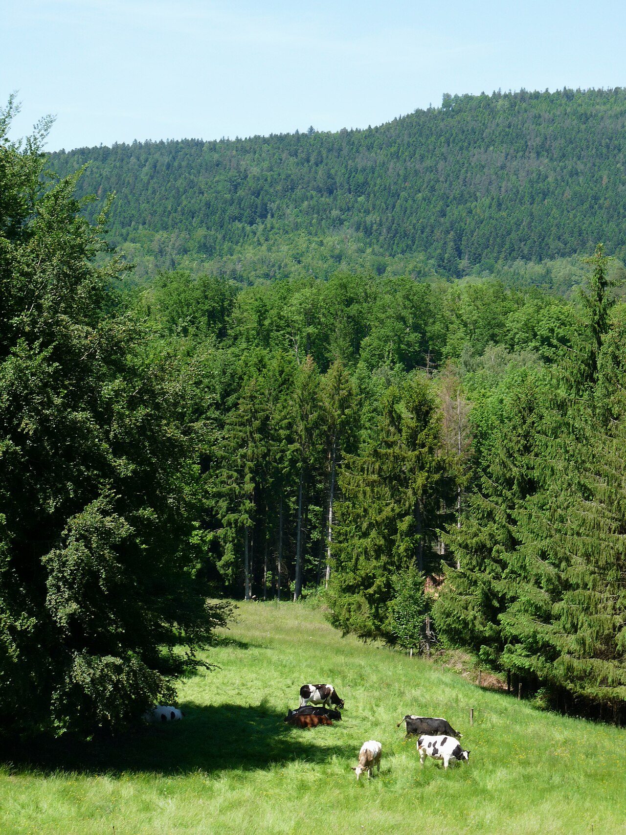 Massif de la Bure