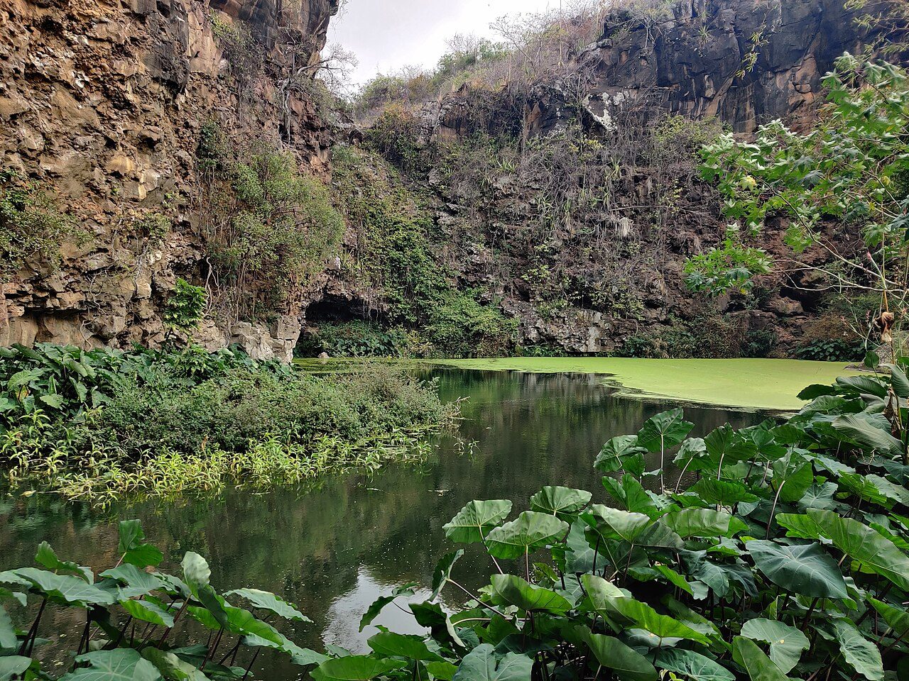 Bassin Bleu