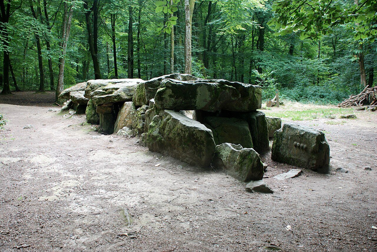Forêt Domaniale du Mesnil à Mesnil-Roc'h
